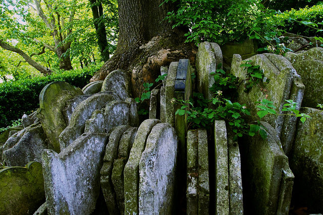 More burials were removed in 2002. Photo Credit