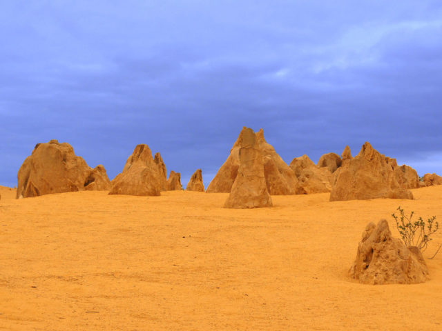The Pinnacles Desert contains thousands of limestone pillars. Photo Credit