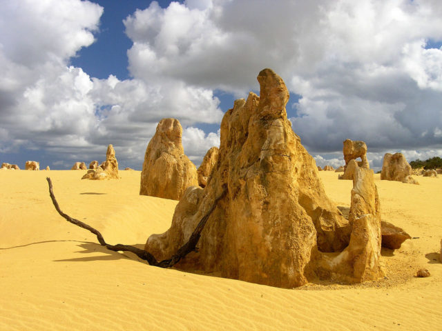 They are limestone formations within Nambung National Park. Photo Credit