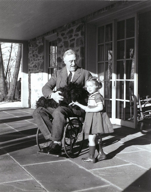 Rare photograph of FDR in a wheelchair, with Ruthie Bie and Fala, taken by his cousin Margaret Suckley (February 1941) Photo Credit