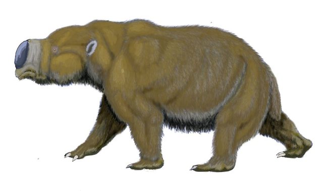 Diprotodon Restoration Photo Credit