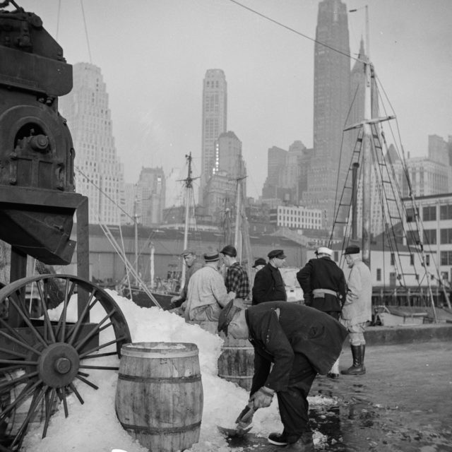  A scene at Fulton's fish market Photo Credit