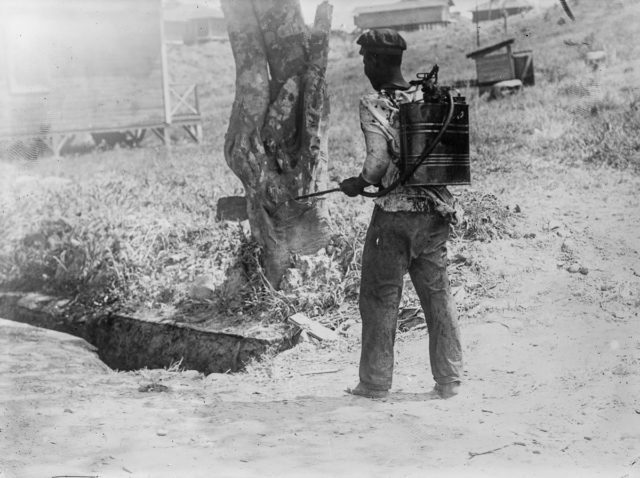 A mosquito exterminator at work in the canal zone Photo Credit