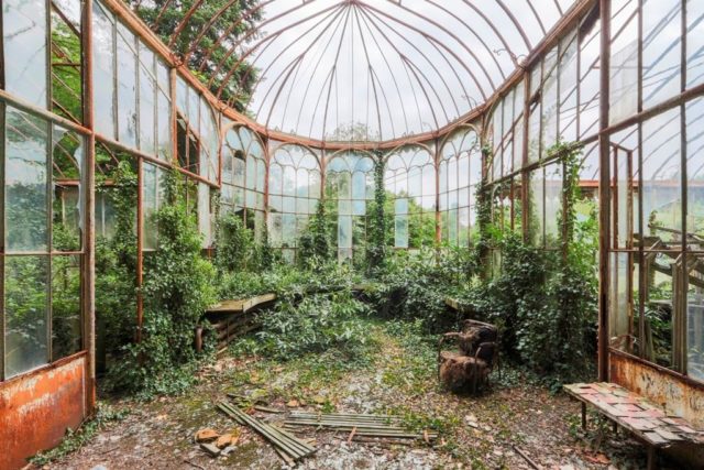 Abandoned greenhouse