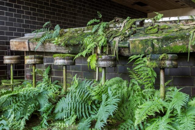 Abandoned bar devoured by nature