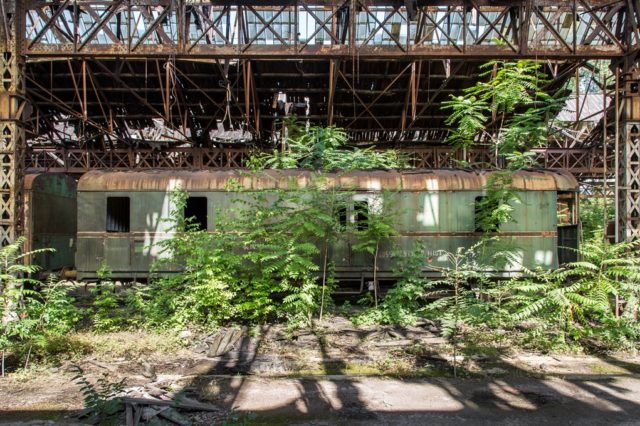 nature reclaimed abandoned building