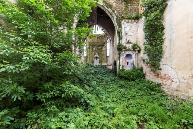 Beautiful abandoned place eaten by nature