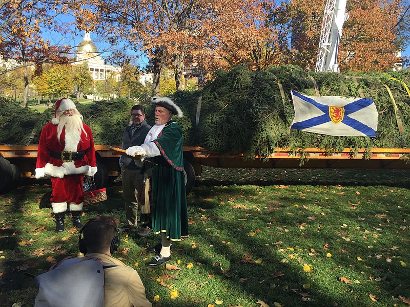 A Town Crier and Santa Claus welcome the Boston Christmas Tree on the Boston Common. Photo Credit