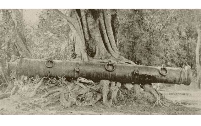 An old photo of the cannon, when it was lifted 4 feet high by the roots of a Peepal tree. Photo Credit