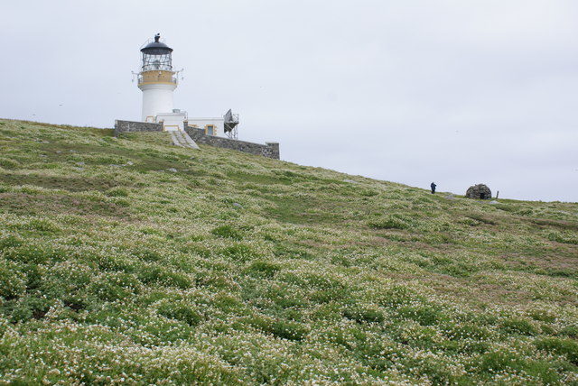 Flannan Island Lighthouse Carpets of Sea Campion in the foreground. Photo Credit