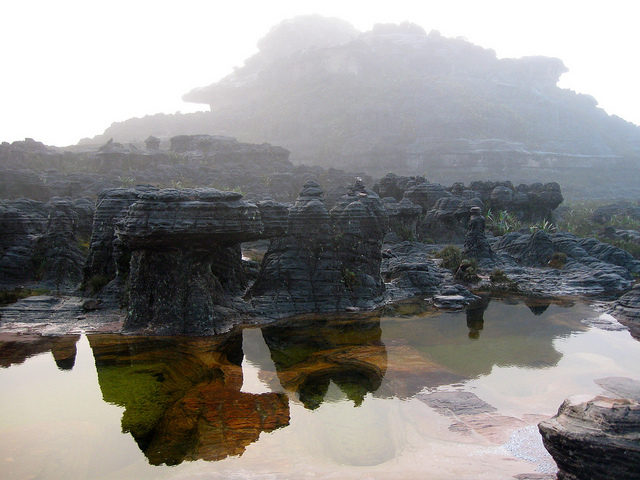 Jacuzzis of Mount Roraima. Photo Credit