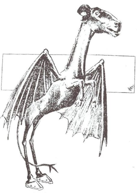 Jersey Devil strip from 1909