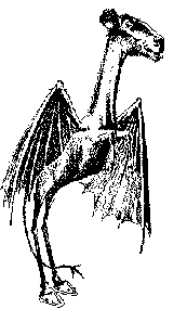 Semi-famous newspaper illustration of the New Jersey Devil, from Philadelphia Evening Bulletin, January 1909. It was drawn from an account of a Devil sighting by Nelson Evans of Glouchester, New Jersey, USA: "It was about three and a half feet high, with a head like a collie dog and a face like a horse. It had a long neck, wings about two feet long, and its back legs were like those of a crane, and it had horse's hooves. It walked on its back legs and held up two short front legs with paws on them. It didn't use the front legs at all while we [he and Mrs. Evans] were watching."