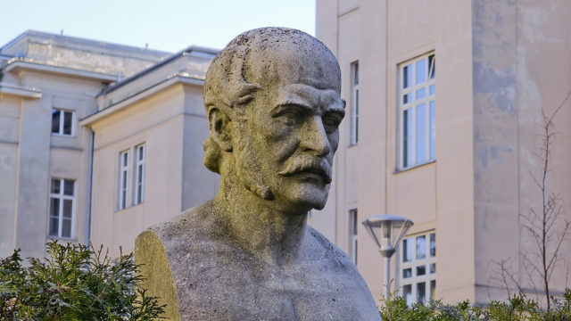  Bust at the Semmelweis-Frauenklinik in Vienna-Gersthof. Photo credit