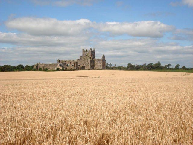 The abbey was dissolved under Henry VIII. Photo Credit