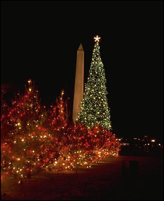 Red lights adorn the state trees surrounding the National Christmas tree in 1965. Smaller live trees representing the 50 states, five territories, and the District of Columbia, formed a "Pathway of Peace."