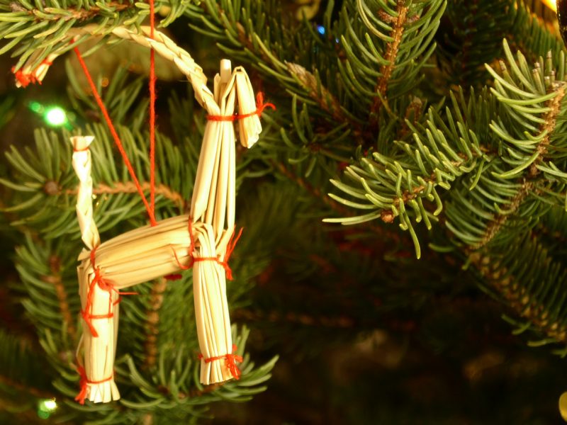 The Gävle goat the Swedish Christmas goat sculpture that is burned