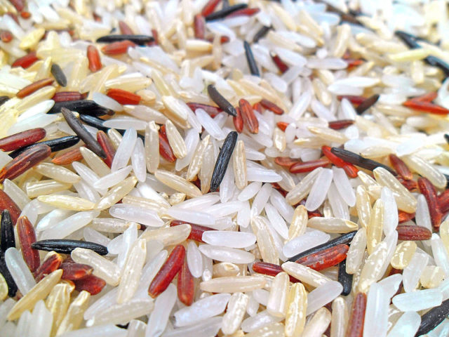 A mixture of brown, white, and red indica rice, also containing wild rice, Zizania species Photo Credit 