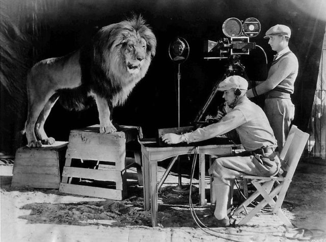 Jackie’s roar being recorded for use at the beginning of MGM talking movies. A sound stage was built around his cage to make the recording.