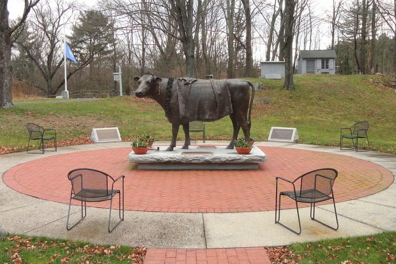 The statue of Emily, the Cow on her grave. Photo Credit