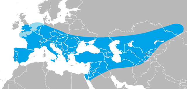 This diagram is a map depicting the range of the extinct Homo neanderthalensis  Author: Ryulong   CC BY-SA 3.0