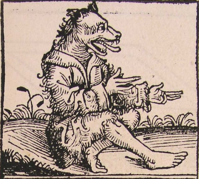 A cynocephalus. From the Nuremberg Chronicle (1493).