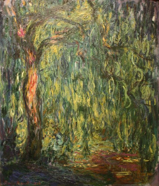 Weeping Willow by Claudet Monet