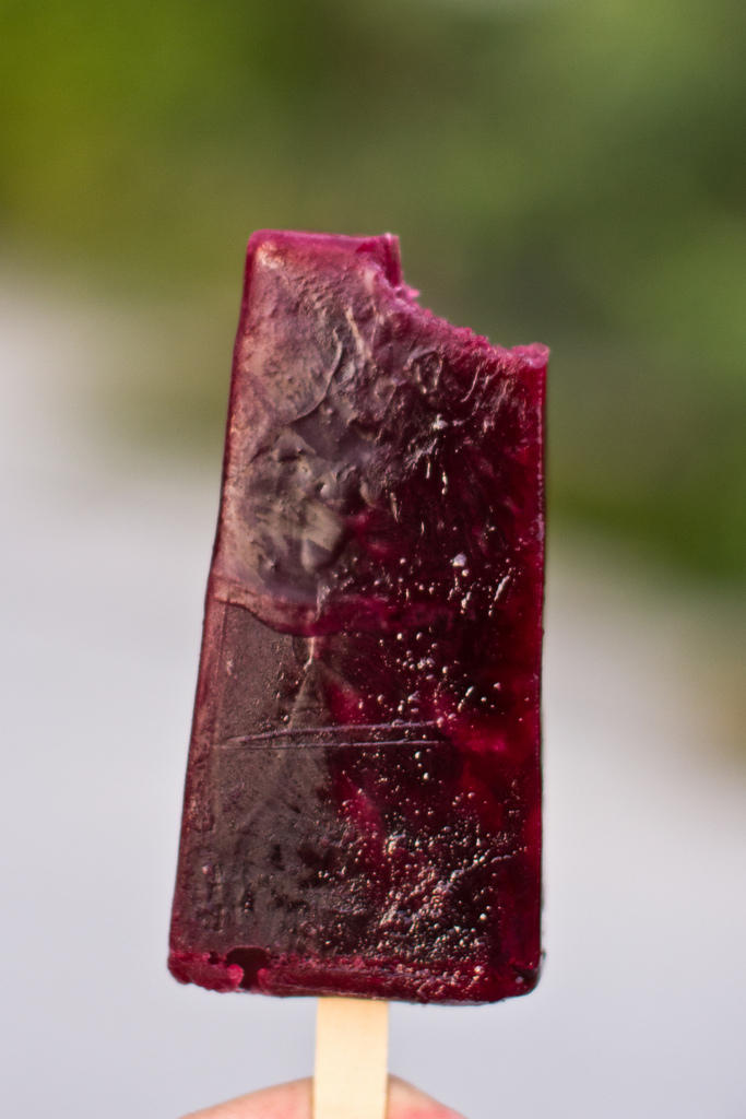 Hibiscus Popsicle. Photo Credit