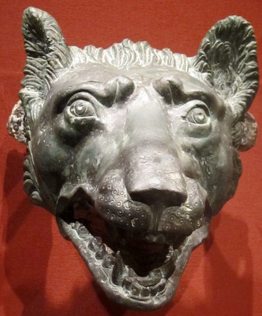 Lupercalia most likely derives from the word ‘lupus’ which means wolf, (Bronze Roman Wolf Head 1-100 CE). Photo Credit