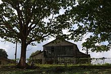 The main warehouse at Fordlândia. Photo Credit