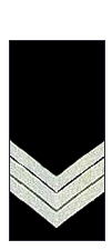 The insignia of an Australian police sergeant
