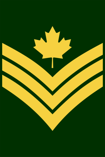 Canadian military insignia Photo Credit