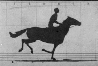 The Horse in Motion by Eadweard Muybridge: The horse Sallie Gardner, owned by Leland Stanford, running at a 1:40 pace over the Palo Alto track, 19 June 1878. Frames 1-11 used for animation; frame 12 not used.