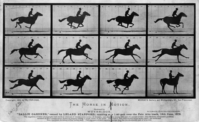 Animation sequence by Eadweard Muybridge of a horse in motion Photo Credit