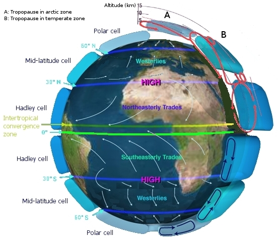 Highly idealised depiction of the global circulation. The upper-level jets tend to flow latitudinally along the cell boundaries.