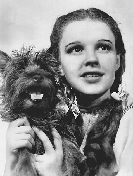 Publicity photo of Judy Garland as Dorothy and American canine performer Terry as Toto promoting the 1939 film The Wizard of Oz.