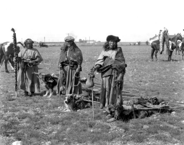 Kainai women and dog travois