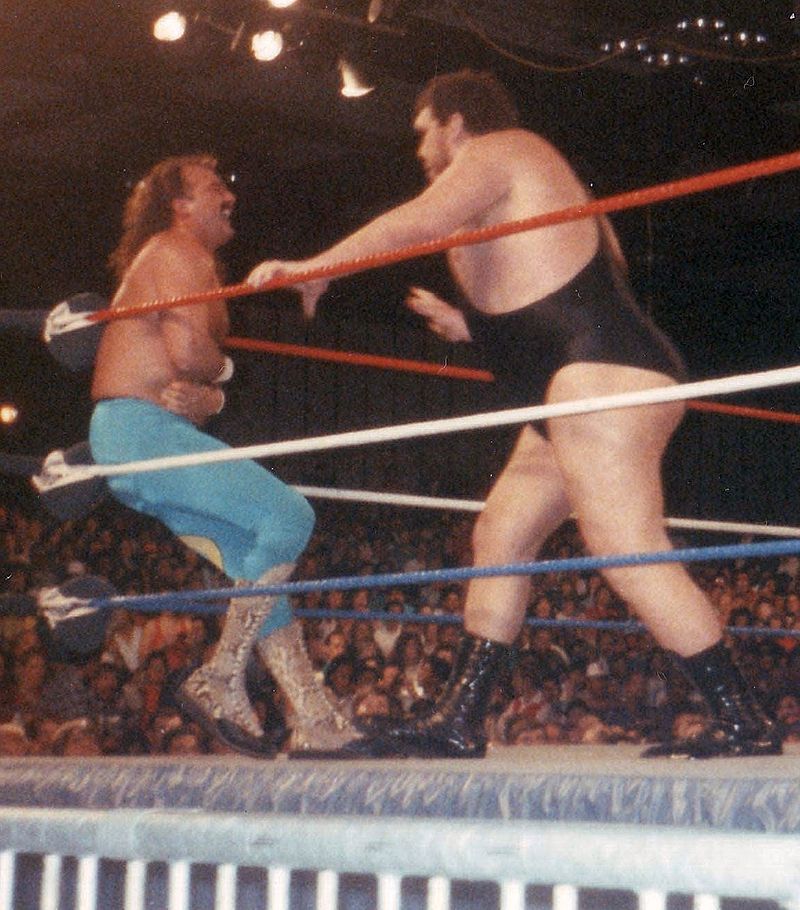 André feuded with Jake Roberts, who played on André’s fear of snakes. Photo Credit