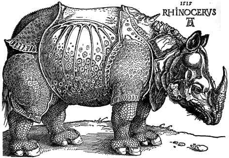 Albrecht Dürer’s Rhinoceros, a fanciful ‘armored’ depiction