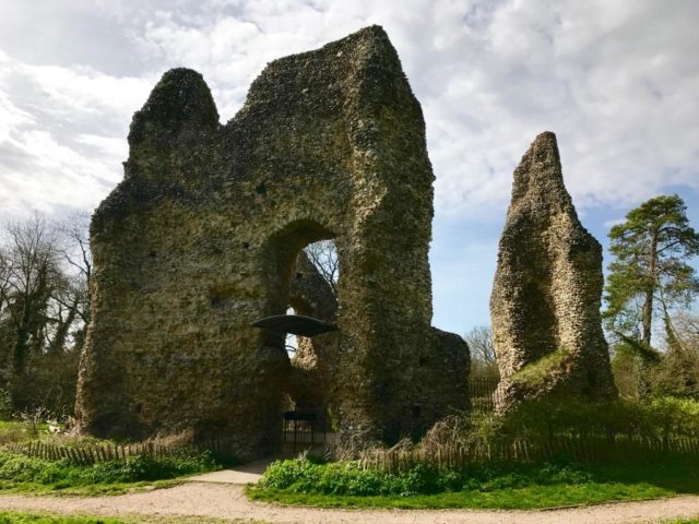 Nature guards the ruins day and night