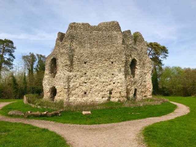 Odiham castle