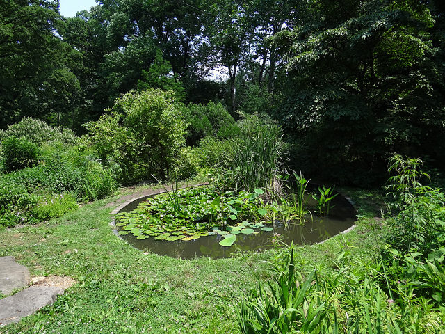 It is the first botanical garden in America. Photo Credit