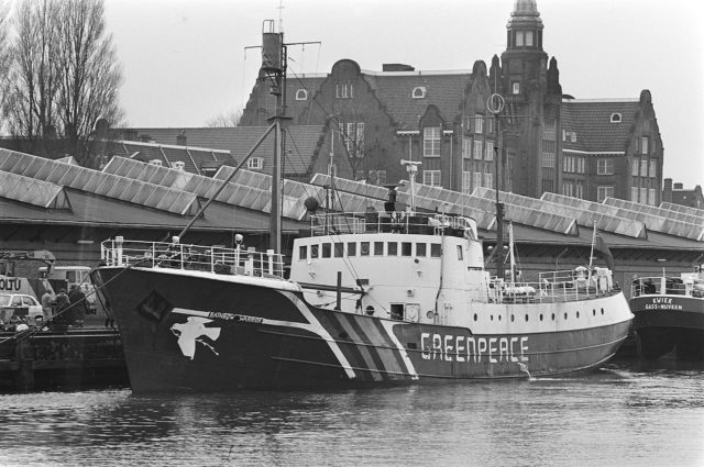 Rainbow Warrior in 1981 / Photo credit