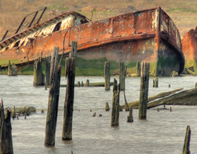 Staten Island ship graveyard just off the Arthur Kill. Photo Credit