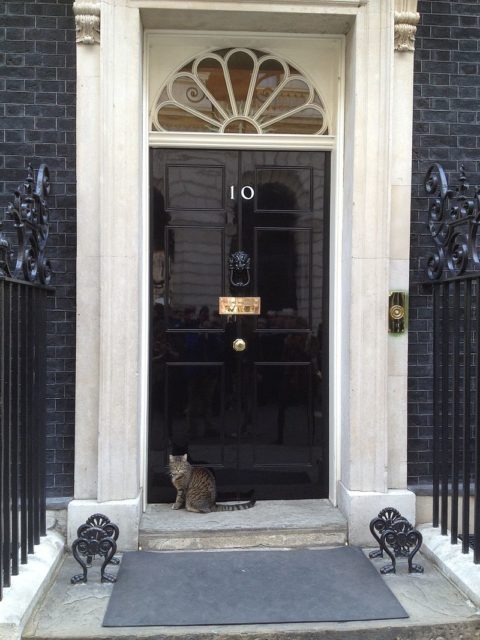 Larry’s former official partner Freya at the door of 10 Downing Street. Photo Credit