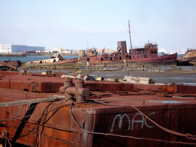 at the ship graveyard .Photo Credit