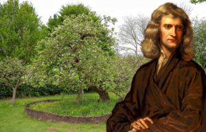 Apple tree growing in the middle of a yard + Portrait of Isaac Newton