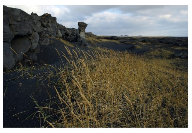 The Reykjanes peninsula is a geothermal wonder, a desolate place where lighthouses outnumber villages. Besides hosting the Keflavík International Airport and the spectacular Blue Lagoon, visitors often get lost in sight in the seemingly endless, green-grey moss-topped lava field blankets.Photo Credit