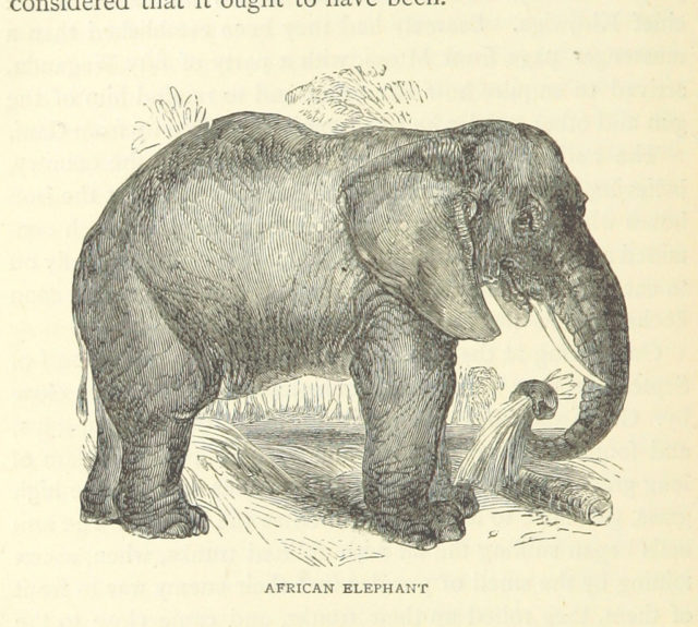 Image taken from page 336 of ‘Great African Travellers from Mungo Park to Livingstone and Stanley, etc’. Photo credit