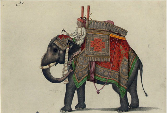 Elephant and driver, most likely from the Mughal Emperor’s stable with a hunting howdar, including pistol, bows and a rifle